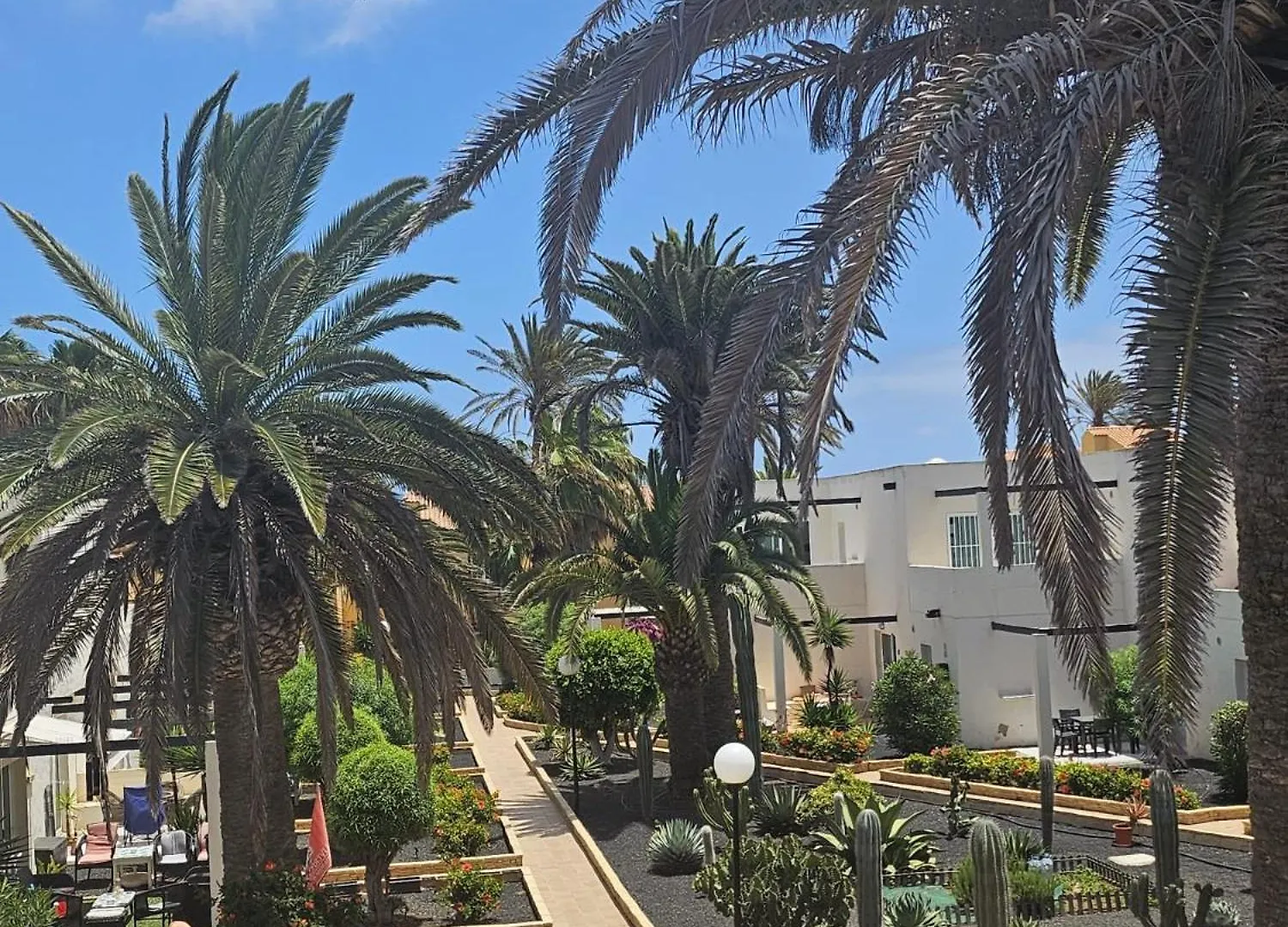 New Alisios Playa Appartement Corralejo Spanje